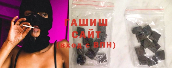 хмурый Бородино