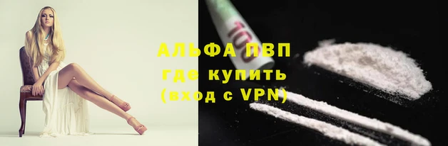 хмурый Бородино