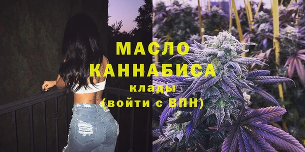 хмурый Бородино