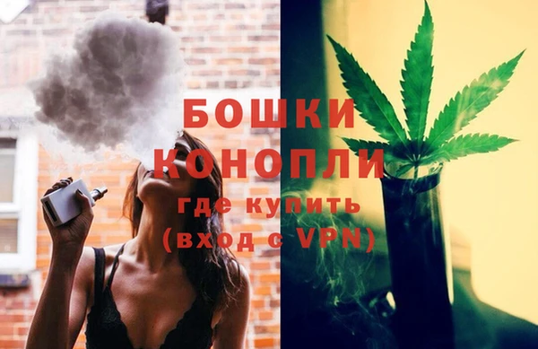 хмурый Бородино
