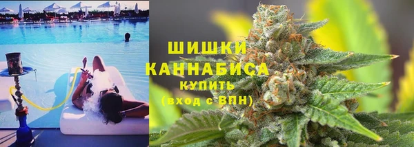 хмурый Бородино