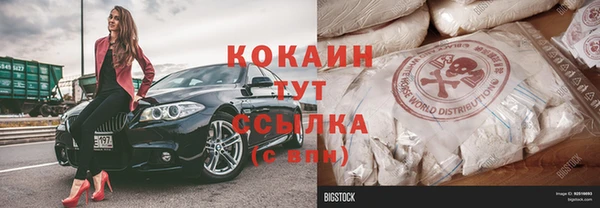 хмурый Бородино